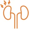 Kidney problems