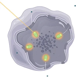 Image of Lutathera delivering the radiation